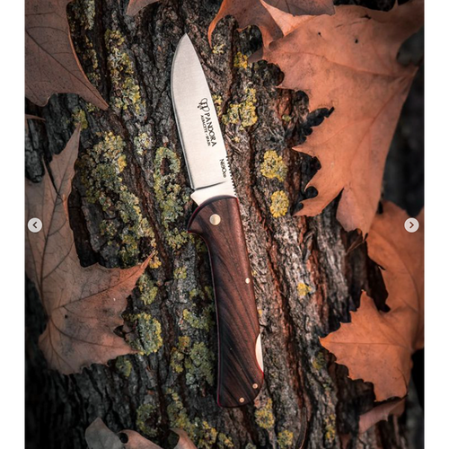 Cudeman 388-G Pandora Back Lock Folding Knife, Walnut 