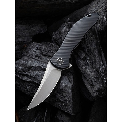 We Knife 2011B Mini Synergy Folding Knife